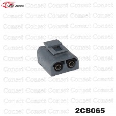 2CS065