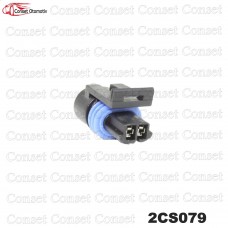 2CS079