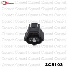 2CS103